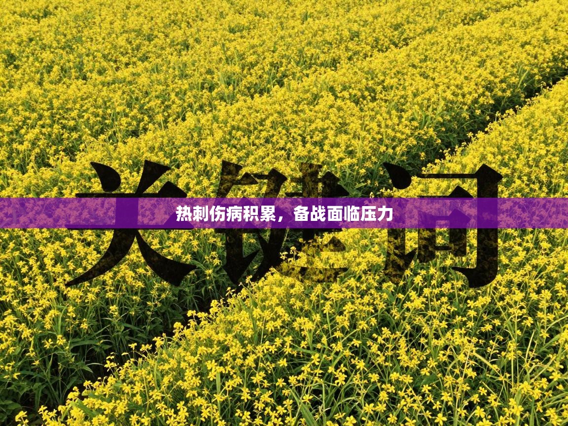 热刺伤病积累，备战面临压力  第1张