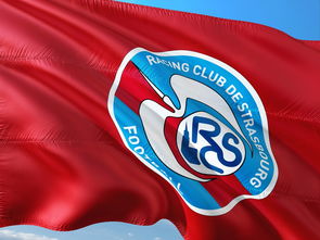 韦德体育首页-帕尔梅拉斯主帅强调团队配合，迎战欧洲劲旅